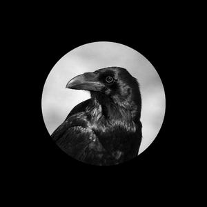 动漫美女被吸乳被操的视频
