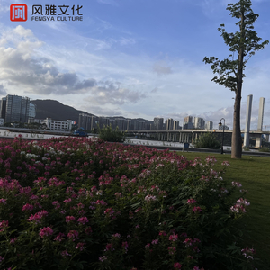 动漫美女被吸乳被操的视频
